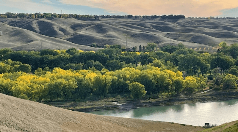 A cottonwood forest adjacent to the Oldman River in Lethbridge in Alberta, Canada. In a 2021 study, researchers present new techniques for modeling the impact of climate change on riparian forests of this kind, focusing on a nearby region of this forest. CREDIT: Lawrence B. Flanagan
