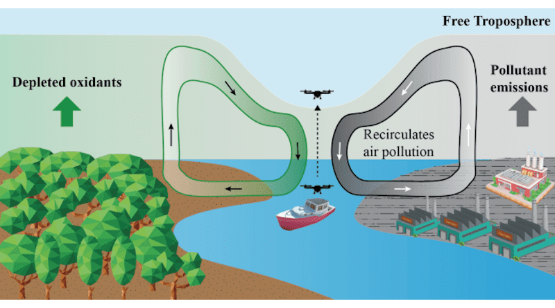 Conceptual representation of thermally driven recirculatory flow of river winds and potential impacts on the dispersion of urban pollution over the river-city landscape and river-forest landscape.