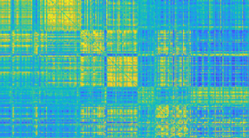 “All the information we need is in these graphs, that are commonly known as “functional brain connectomes”. CREDIT: Enrico Amico