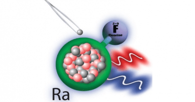 Changing the number of neutrons (grey spheres) in the radium (Ra) nucleus changes the energy levels of the radium monofluoride (RaF) molecule. Small changes can be measured by using different lasers (blue and red wavy lines). CREDIT: Image courtesy of Silviu-Marian Udrescu, Massachusetts Institute of Technology