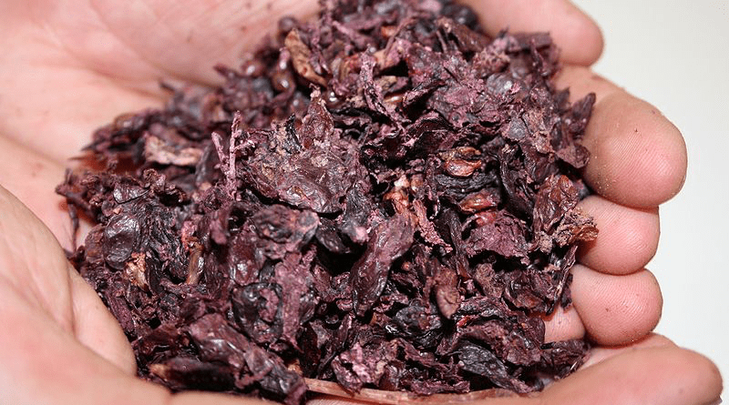 Red grape pomace. Photo Credit: Adrian J. Hunter, Wikipedia Commons