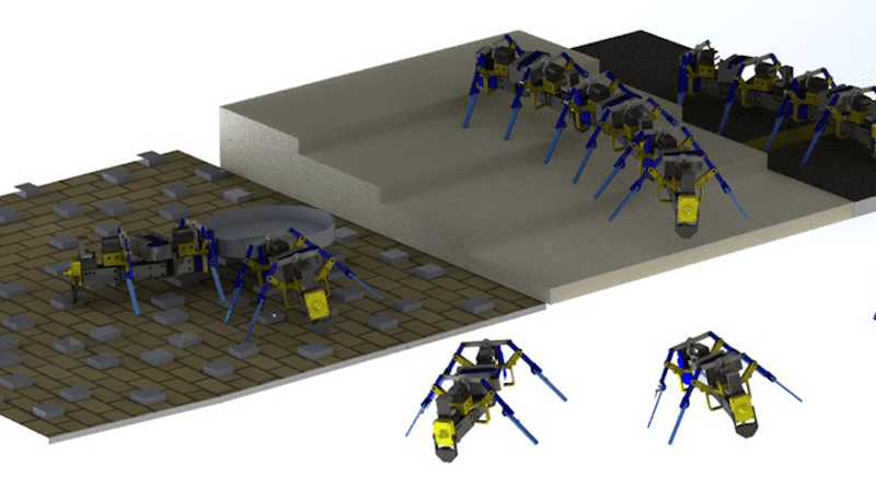 Swarm robots CREDIT: University of Notre Dame