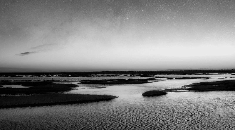 New Jersey Sunset Sunrise Black And White Sea marsh ocean