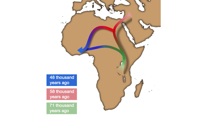 West African migrations. Author: Saoni Banerji CREDIT: The graph is made by Saoni Banerji, and the map was downloaded from Wikimedia