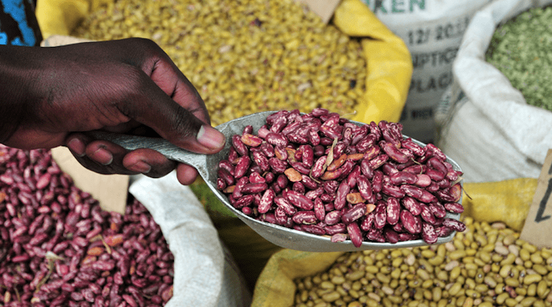 A bean market in Kampala, Uganda CREDIT: Neil Palmer/CIAT