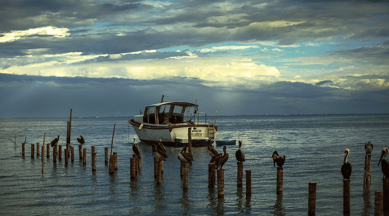 Fishing Sea Boat Birds Woods Travel Ocean Water Horizon