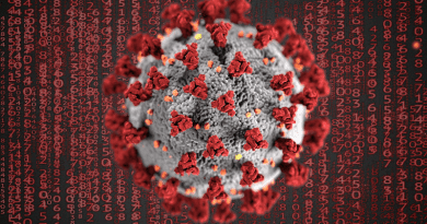 Corona Covid-19 Covid Coronavirus Pandemic Disease