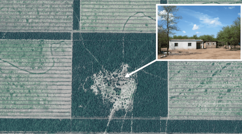 Satellite images reveal where forest-dependent people live inside the forests of the South American Gran Chaco, and how deforestation for cattle ranching leads to an erosion of their resource base. (Background photo: Google EarthTM / Inset photo: I. Gasparri). CREDIT: Background photo: Google EarthTM / Inset photo: I. Gasparri