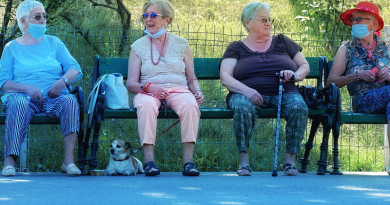 coronavirus covid-19 mask Women Elderly Bench Park Old Women Outdoors