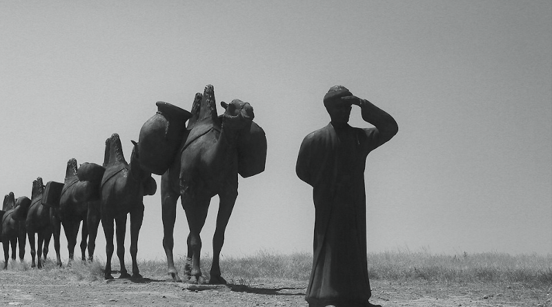 caravan camel desert man camels