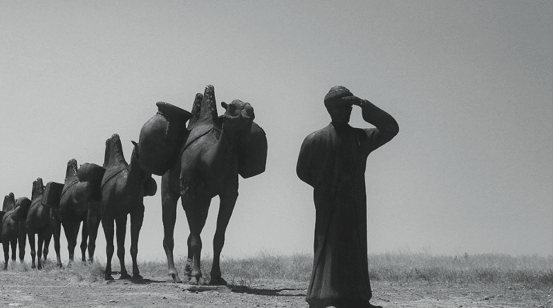 caravan camel desert man camels