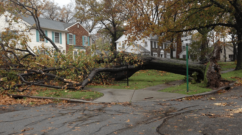 Aftermath of Hurricane Sandy