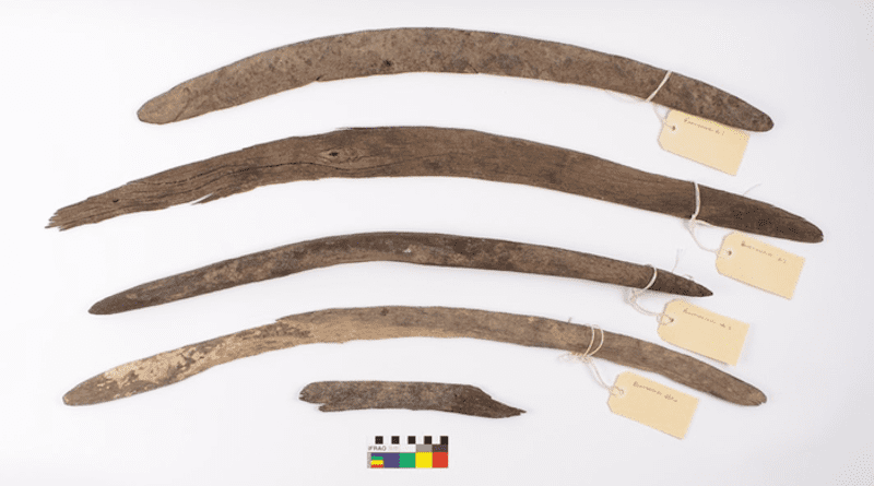 Rare boomerang collection from Cooper Creek (Kinipapa) near Innamincka in South Australia’s far north-east. CREDIT: Photograph courtesy of the Yandruwandha Yawarrawarrka Traditional Land Owners Aboriginal Corporation.