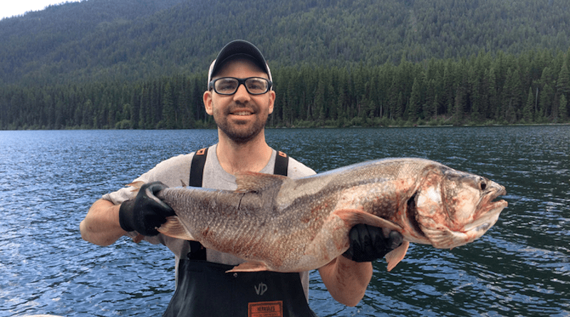 Vin D’Angelo, a USGS fisheries biologist, holds up a nonnative lake trout that was caught recently in Glacier National Park’s Logging Lake. CREDIT: Photo courtesy Joe Giersch, USGS
