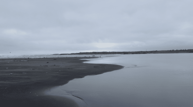 Mukawa estuary, Hokkaido, one of the 22 estuaries sampled for the study (Photo: Akihide Kasai).