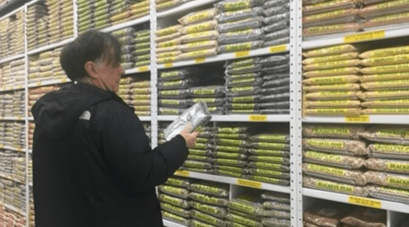 Karl S. Zimmerer seen researching supply chain diversity of agrobiodiverse dry legumes in a South Asian food market in the New York metropolitan area. Credit: Karl Zimmerer, GeoSyntheSES, Penn State