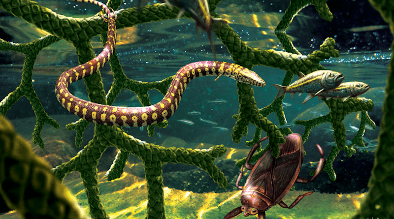 “In the shallows near shore, Tetrapodophis amplectus glides through a tangle of branches from the conifer Duartenia araripensis that have fallen into the water, sharing this habitat with a water bug in the family Belostomatidae and small fish (Dastilbe sp.).” Image Credit: Julius Csotonyi