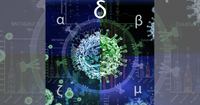 The figure incorporates variations to reflect/suggest virus mutations and also included the relevant Greek alphabet letters to emphasise this and contains the background of some of our figures. CREDIT: Murray Robertson, CC-BY 4.0 (https://creativecommons.org/licenses/by/4.0/)