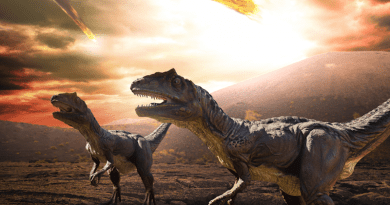 Springtime, the season of new beginnings, ended the 165-million-year reign of dinosaurs and changed the course of evolution on Earth. CREDIT: Florida Atlantic University/Getty Images