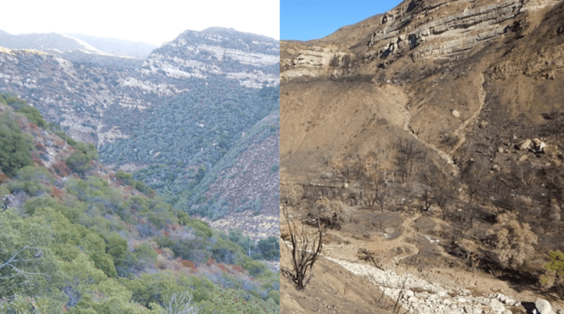 Matilija Creek before and after the Thomas Fire and subsequent debris flows. Fire and its aftermath can completely reshape streams and their communities. CREDIT: MARK CAPELLI: NOAA FISHERIES