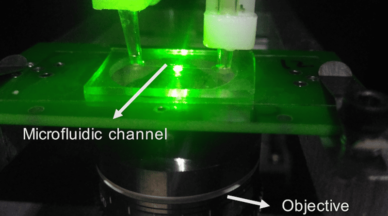 The sensor uses only low-cost materials (the diamonds involved are smaller than specks of dust), and the devices could be scaled up to analyze a whole batch of samples at once, the researchers say. CREDIT: Image courtesy of Changhao Li, Paola Cappellaro, et. al