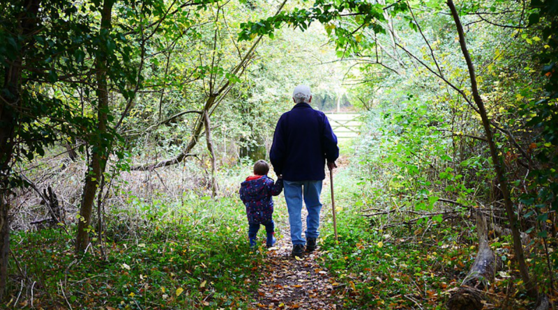 Grandparents Walk Old Grandchildren Grandson Grandfather