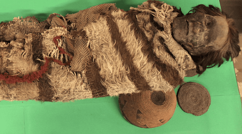A mummified adult man of the Ansilta culture, from the Andes of San Juan, Argentina, dating back approx 2,000 years. CREDIT: Universidad Nacional de San Juan