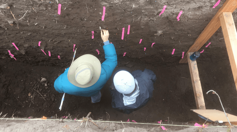 A small fault lying between the San Andreas and San Jacinto faults provides evidence for past earthquakes that involved both major faults. Geologists Tom Rockwell (San Diego State) and Michael Oskin (UC Davis) work in a trench into the fault. CREDIT: Alba Rodriguez Padilla