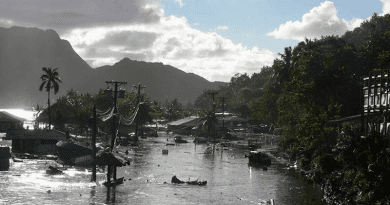 On September 29, 2009, a tsunami caused substantial damage and loss of life in American Samoa, Samoa, and Tonga. The tsunami was generated by a large earthquake in the Southern Pacific Ocean. CREDIT: NOAA