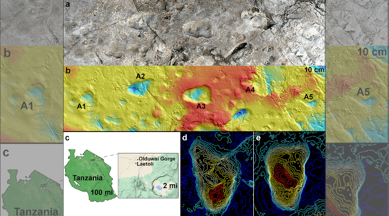 Model of Laetoli Site A using photogrammetry showing five hominin footprints (a); and corresponding contour map of the site at Laetoli, Tanzania, generated from a 3D surface scan (b); map showing Laetoli, which is located within the Ngorongoro Conservation Area in northern Tanzania, south of Olduvai Gorge (c); topographical maps of A2 footprint (d) and A3 footprint (e). CREDIT: Images (a) and (b) by Austin C. Hill and Catherine Miller. Image (c): Illustration using GoogleMaps by Ellison McNutt. Images (d) and (e) by Stephen Gaughan and James Adams.