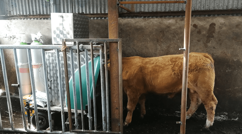 Methane emissions of an animal on test being estimated with the GreenFeed system, at the ICBF Progeny Performance Test Centre in Tully, Co. Kildare