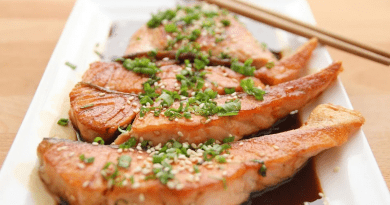 Food Salmon Teriyaki Fish Eat Dish Restaurant