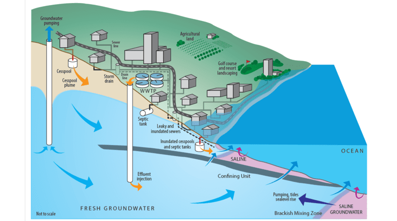A schematic representation of groundwater flow patterns. Besides natural recharge and seawater intrusion, anthropogenic effects including groundwater withdrawal and altered recharge and flow patterns due to built infrastructure, as well as augmentation by wastewater effluent injection, leakage from wastewater infrastructure (sewer lines, cesspools, septic tanks) and irrigation (agriculture and landscaping) affect the magnitude and composition of SGD. CREDIT: Illustration by Brooks Bays, SOEST Publication Services.