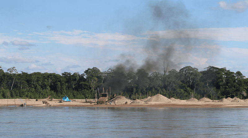 Artisinal gold miners in the Peruvian Amazon use open pit fires to extract gold, sending methylmercury into the atmosphere. New data shows how that mercury is absorbed by nearby ecosystems. CREDIT: Melissa Marchese
