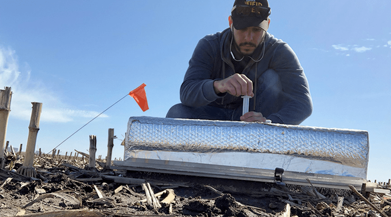 University of Illinois researchers, including Giovani Preza-Fontes (pictured), evaluated the nitrous oxide emission potential of farm practices designed to minimize nitrogen inputs in waterways. CREDIT: University of Illinois