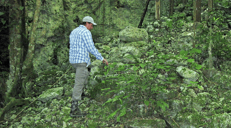 Researcher Chris Balzotti climbs an ancient staircase discovered in a sinkhole near Coba, Mexico. CREDIT: Richard Terry