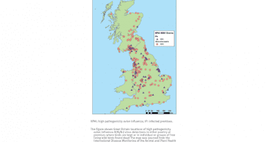 Map of high pathogenicity avian influenza H5N1-infected premises and wild bird events, Great Britain, October 2021–January 2022 CREDIT: Eurosurveillance