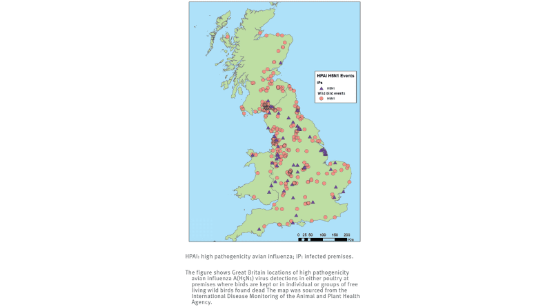 Map of high pathogenicity avian influenza H5N1-infected premises and wild bird events, Great Britain, October 2021–January 2022 CREDIT: Eurosurveillance