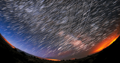 Starlink Satellites pass overhead near Carson National Forest, New Mexico, photographed soon after launch. Credit: M. Lewinsky