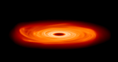 Image showing a rotating protoplanetary disc without a warp CREDIT: University of Warwick