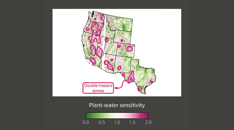 In 18 zones of the U.S. West, plant water sensitivity is high (>1.5), and the vapor pressure deficit is rising faster than average. Because both factors increase fire hazards, the overlaps are likely to amplify the effect of climate change on burned areas. CREDIT: Adapted from Rao et al, 2021, Nature Ecology and Evolution