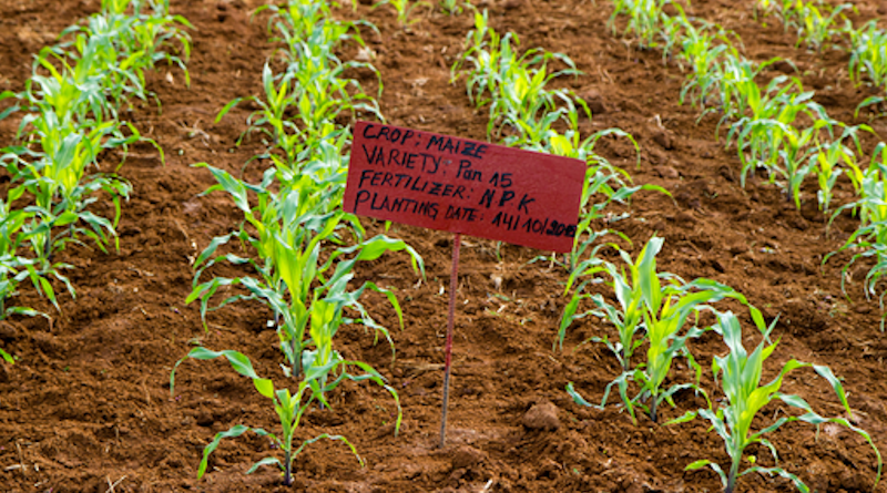 A key outcome of the study was the defining of critical N boundaries for maize production systems in the basin by creating three distinct zones for safe (soil sustaining) operation, inefficient use of available N, and soil mining. CREDIT: APNI Image