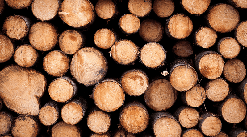 Timber stack. Photo: Anton Larsson, Swedish University of Agricultural Sciences