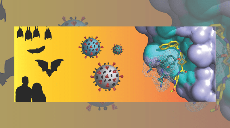 Image shows, from left to right, bats and humans; coronaviruses; and an X-ray atomic level structure of DC37, a drug-like small molecule, binding to a SARS-like coronavirus protein drug target. CREDIT: Pegan lab, UC Riverside.