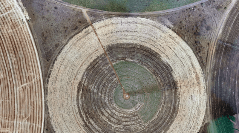 Sugar cane fields require irrigation throughout the year via pivot irrigation, which uses sprinklers rotating around a central water pump generating gigantic circles. Water thirsty crops often produce considerable environmental impact. CREDIT: Ⓒ ATEC-3D