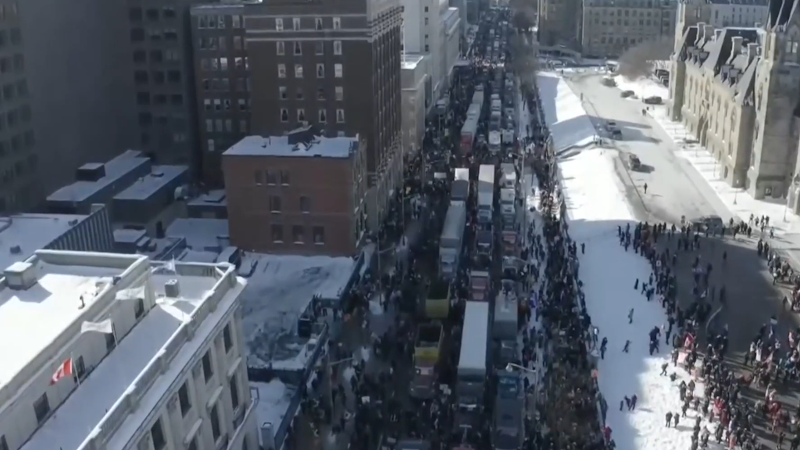 Truckers participating in Canada's Freedom Convoy 2022. Photo Credit: News 360 TV, Wikipedia Commons