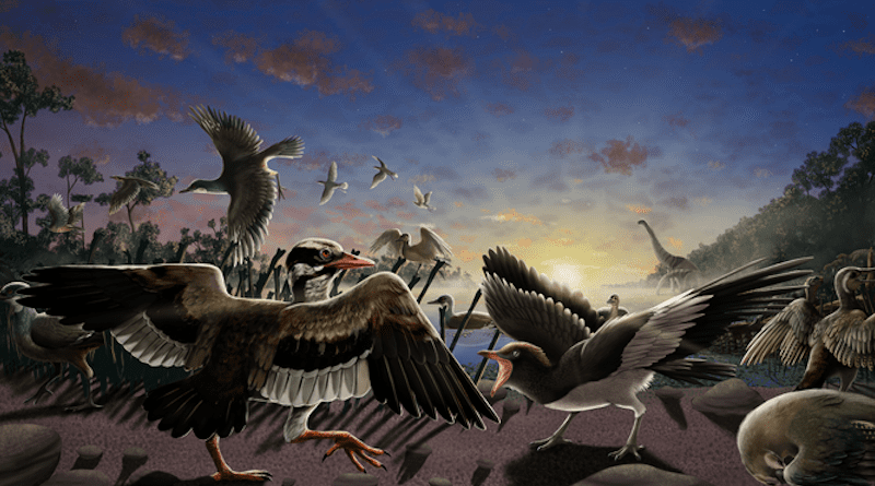 An illustration showing the newly discovered fossil birds (Meemannavis the larger one on the left in the center foreground, and Brevidentavis open-mouthed on the right). CREDIT: Illustration by Cindy Joli, Julio Francisco Garza Lorenzo, and René Dávila Rodríguez.