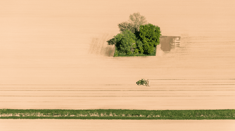 Nature and agriculture: A study with KIT participation sheds light on the trade-off between food security and biodiversity. (Photo: Markus Breig, KIT)