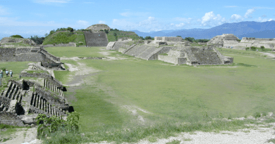 The Main Plaza at the center of Monte Albán. CREDIT: Linda Nicholas, Field Museum