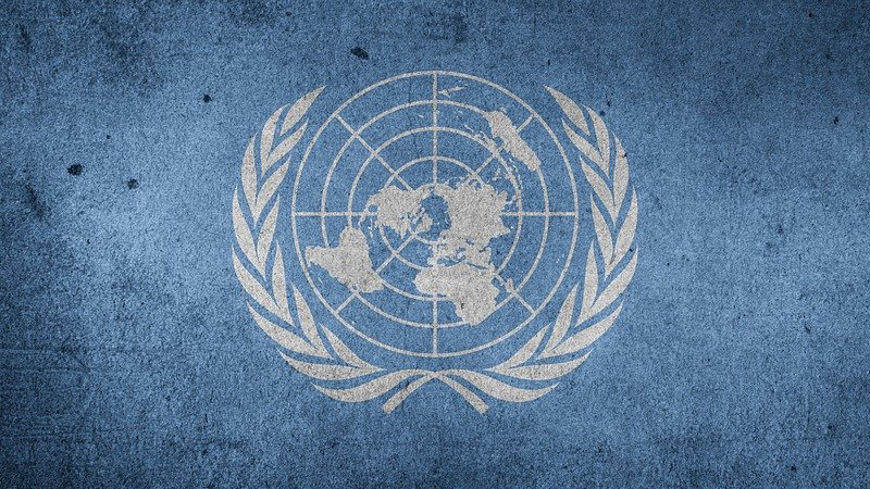 United Nations World Flag Un Grunge Blue World